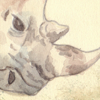 Rhino